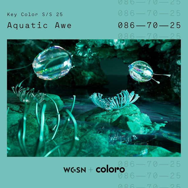 關(guān)鍵色coloro 086-70-25